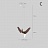 Серия подвесных светильников виде деревянных птиц со светящимися клювами с дополнительным световым элементом в потолочном креплении HANSY большой Модель А темный фото 13